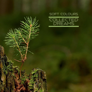 欧美亚洲中文字幕
